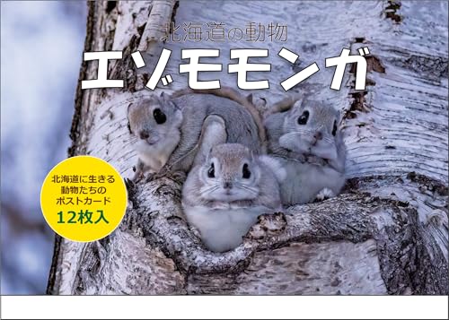 絵描きの召使い　多言語2枚セット Amazon | ポストカードのみ鬼滅の刃 キメツ 謹製絵葉書 -追憶